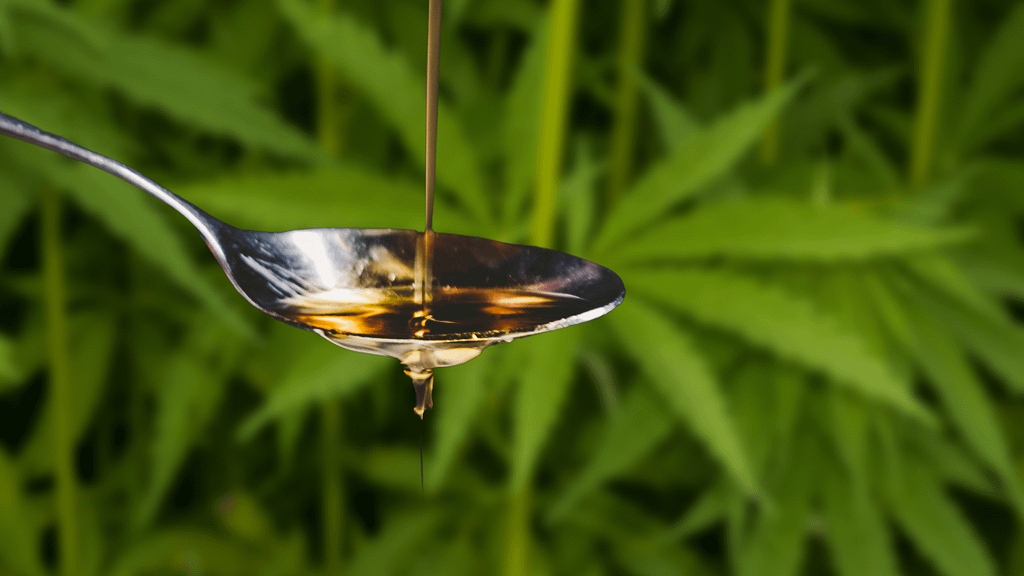 konopljino olje in njegove prednosti